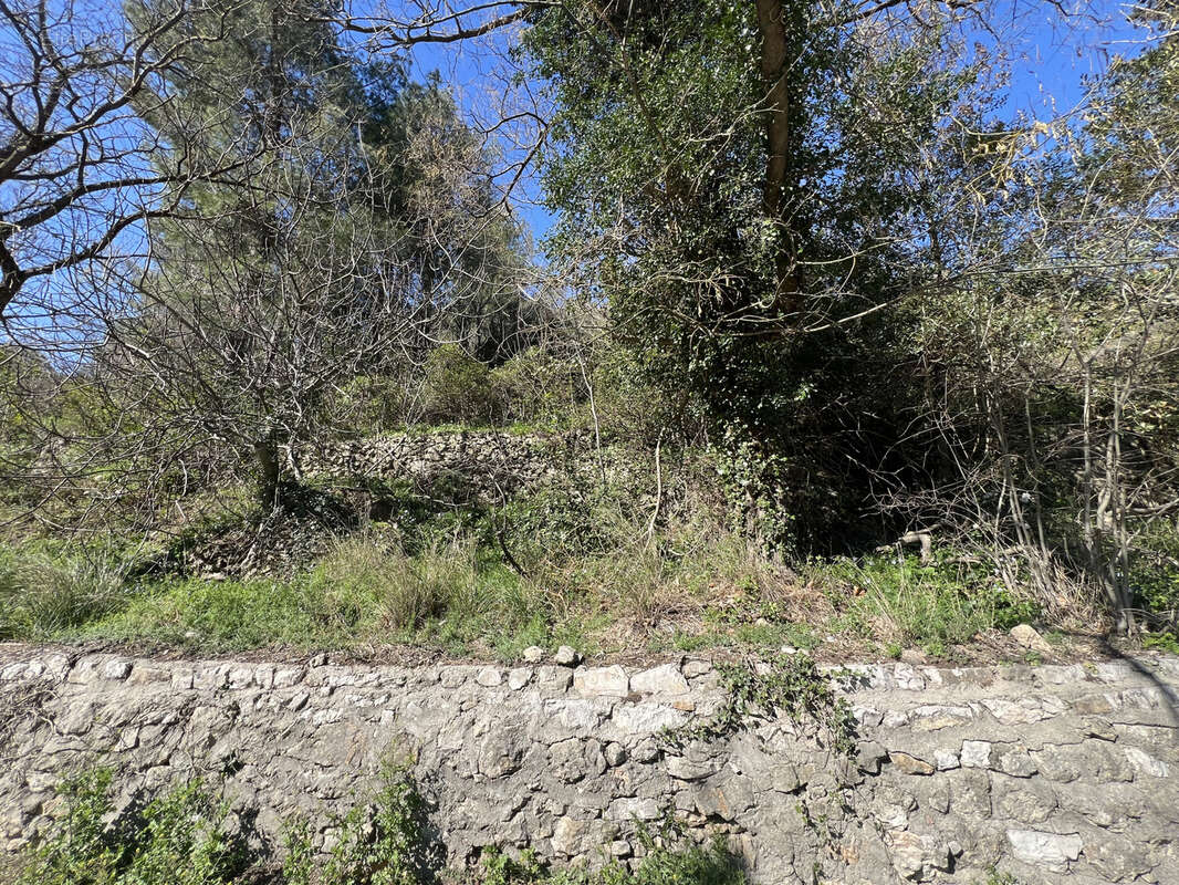 Terrain à SAINT-GUILHEM-LE-DESERT