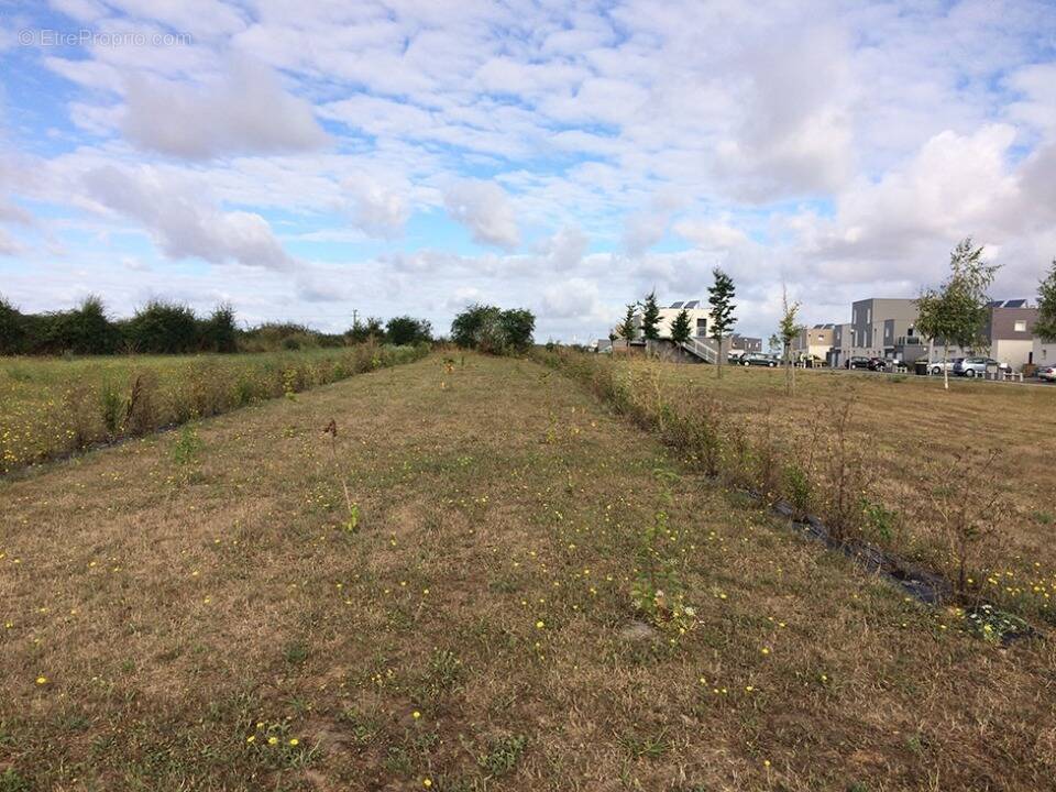 Terrain à MOULT