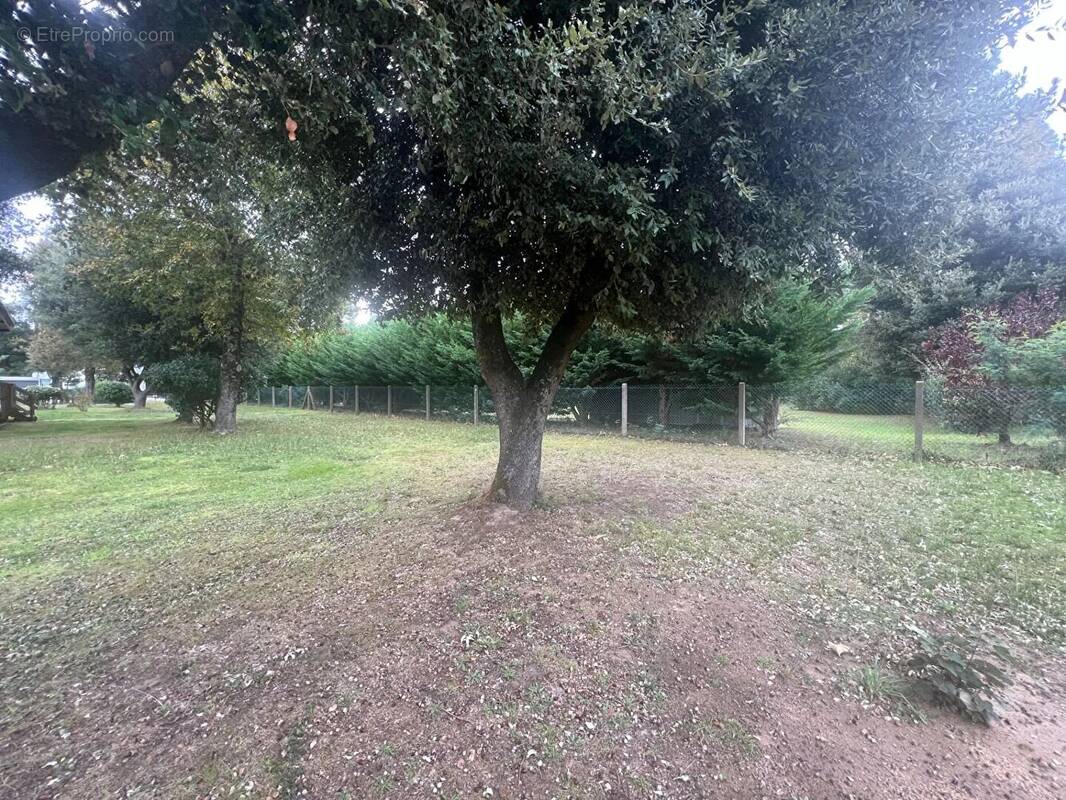 Terrain à JARD-SUR-MER