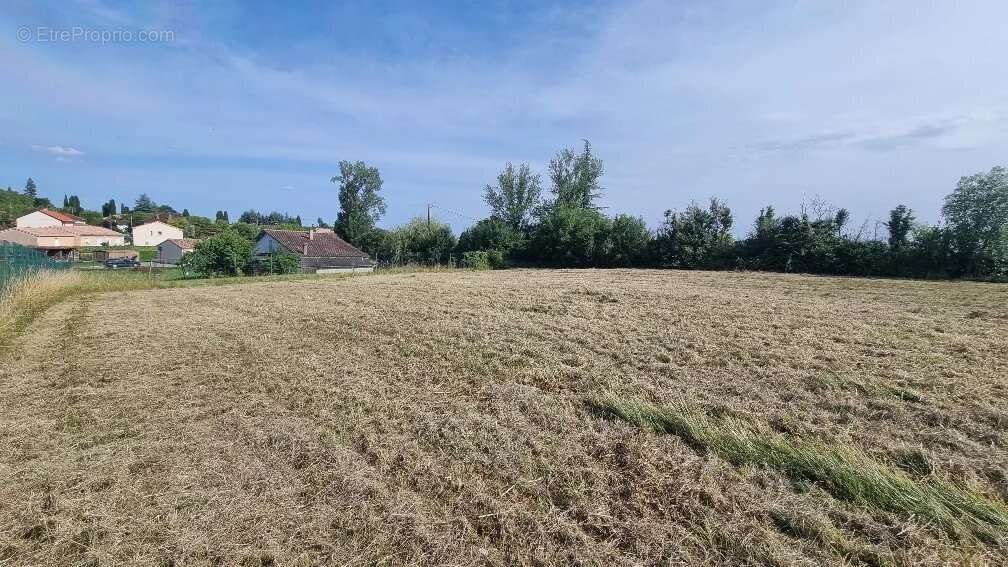 Terrain à CASTELNAU-MONTRATIER