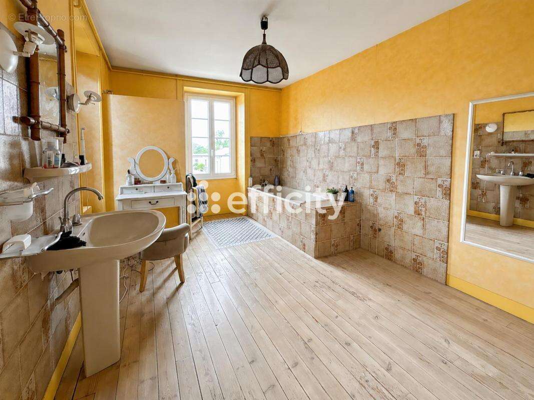Maison 265 m² à Brizambourg  - photo 12