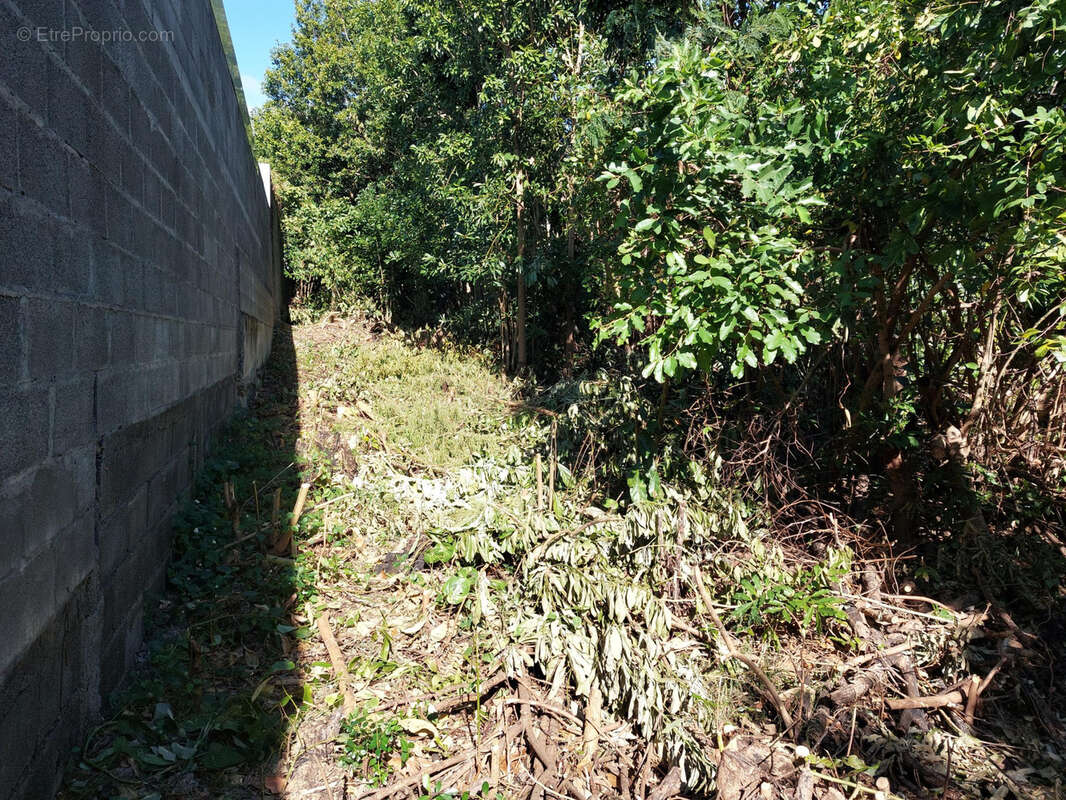 Terrain à SAINTE-MARIE