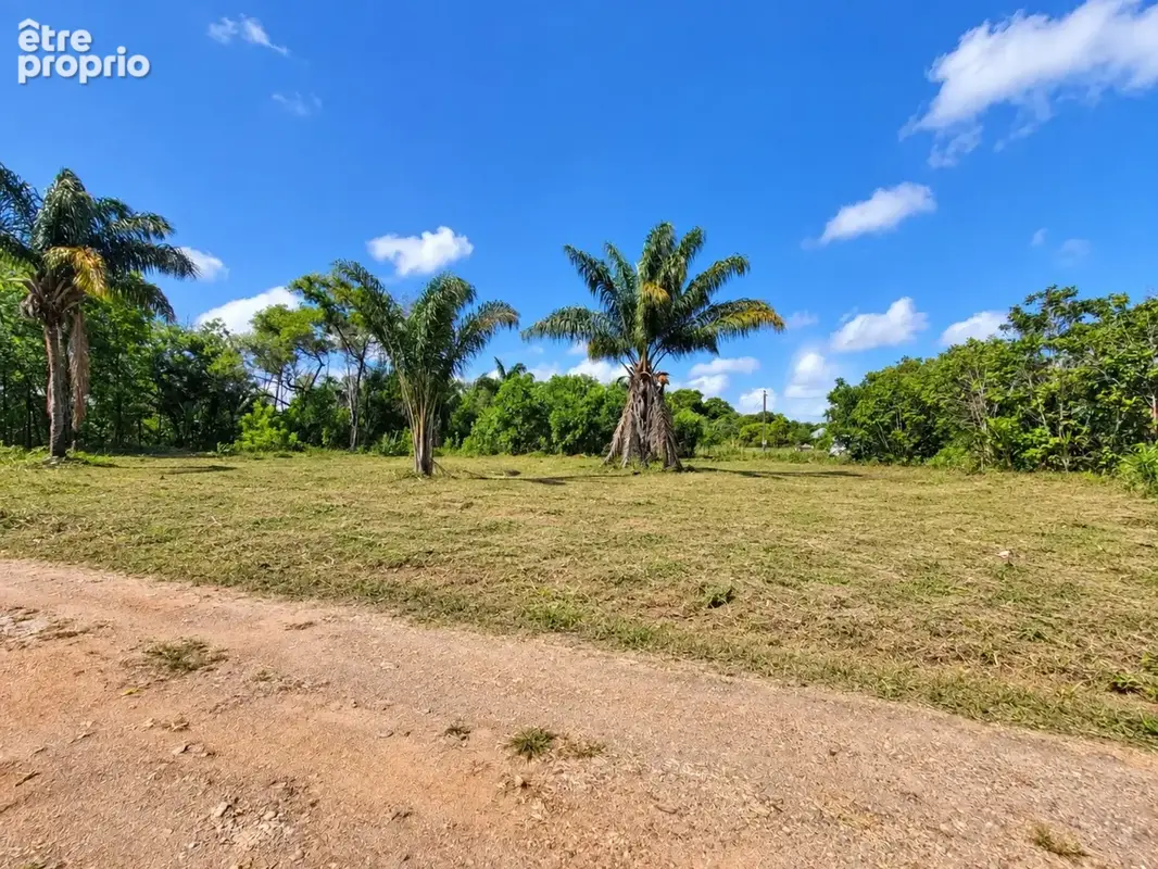 Terrain constructible de 1010 m² à vendre à Sainte Agathe - MACOURIA (973) - photo 5
