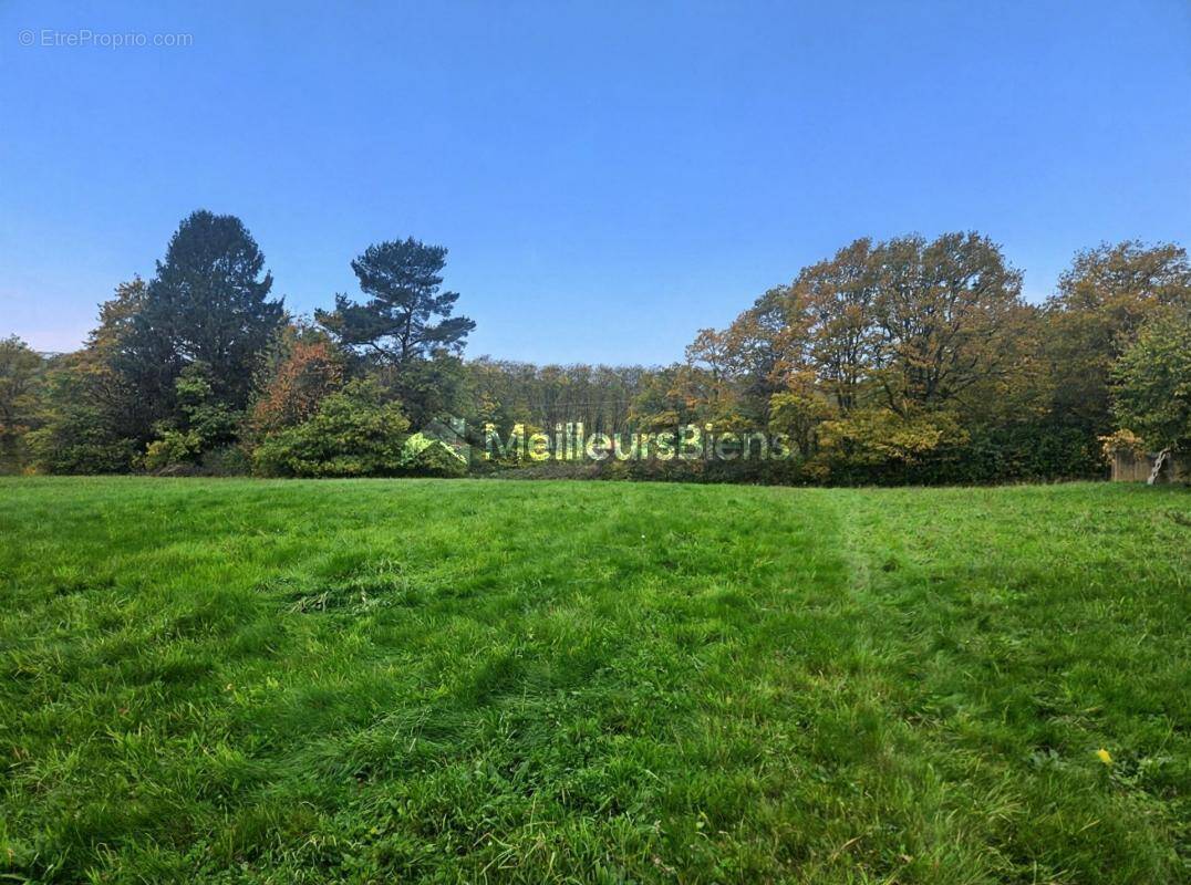 Terrain à CHALONVILLARS