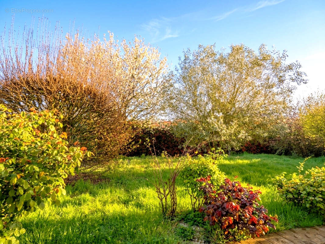 Photo 7 - Maison à SAINT-GELAIS