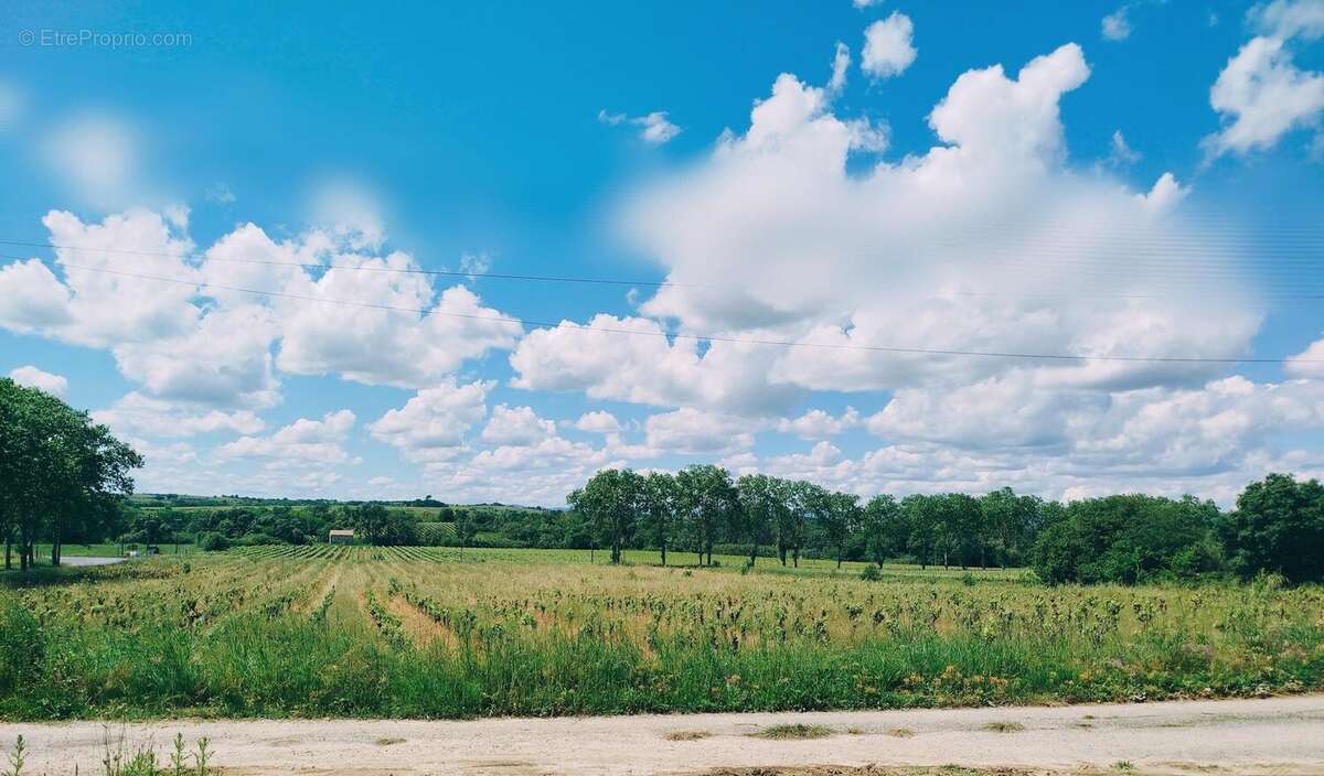 Photo 2 - Terrain à BASSAN