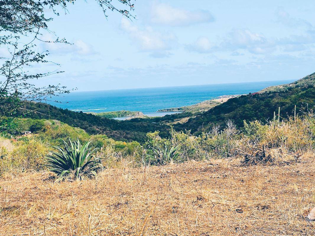 Terrain à LE MARIN