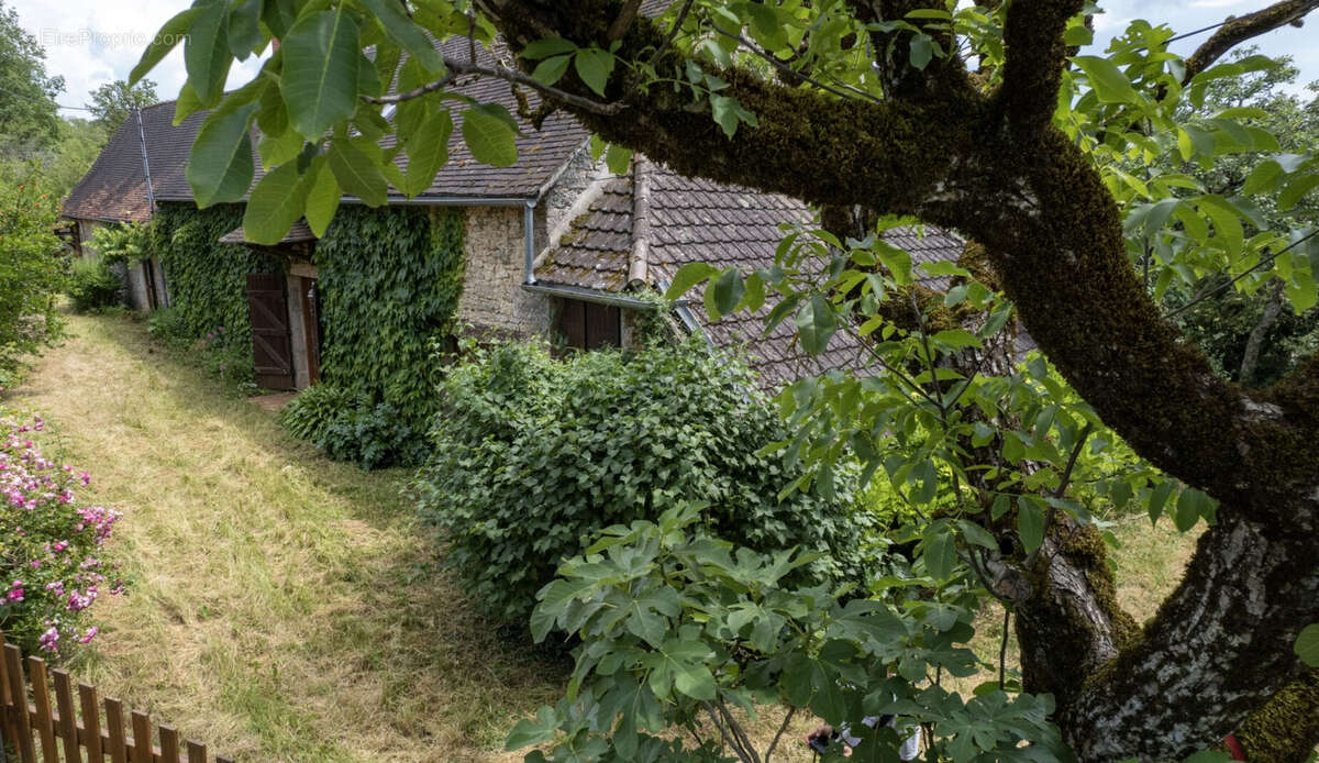 Pépite en pierre aux portes de MARTEL - photo 3