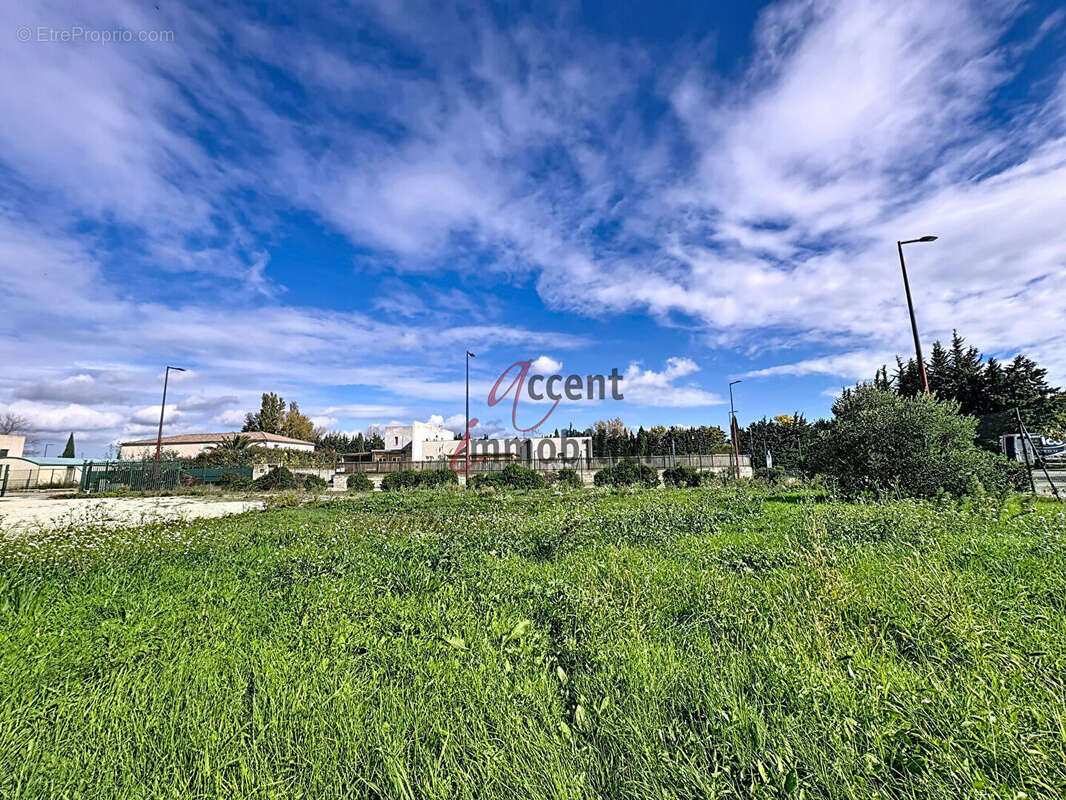 Terrain à SAINT-ANDIOL