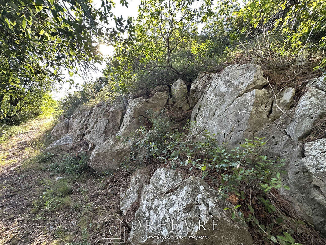 Maison à CASTELNAU-LE-LEZ