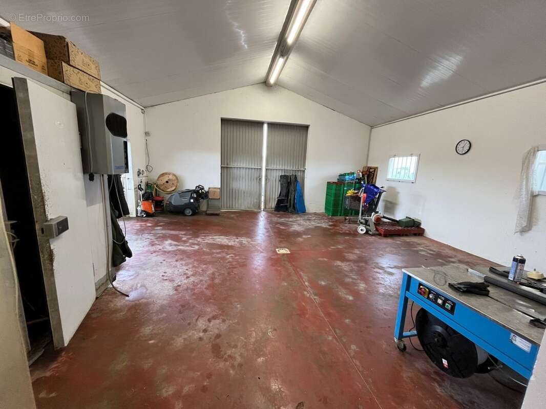 ILE D'OLÉRON emplac N°1, AV Murs 321m², marais 1,2ha et Fonds aquacole de production & dégustation de fruits de mer - photo 10