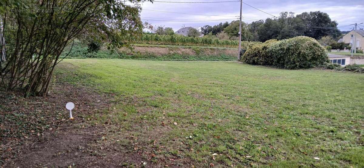 Photo 4 - Terrain à SAINT-LEGER-DE-MONTBRILLAIS