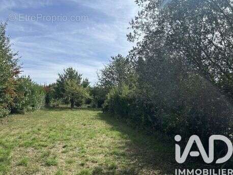 Photo 2 - Terrain à SAINTRY-SUR-SEINE