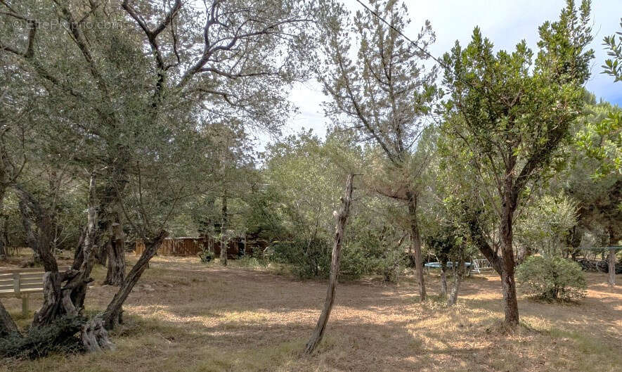 Maison à PORTO-VECCHIO