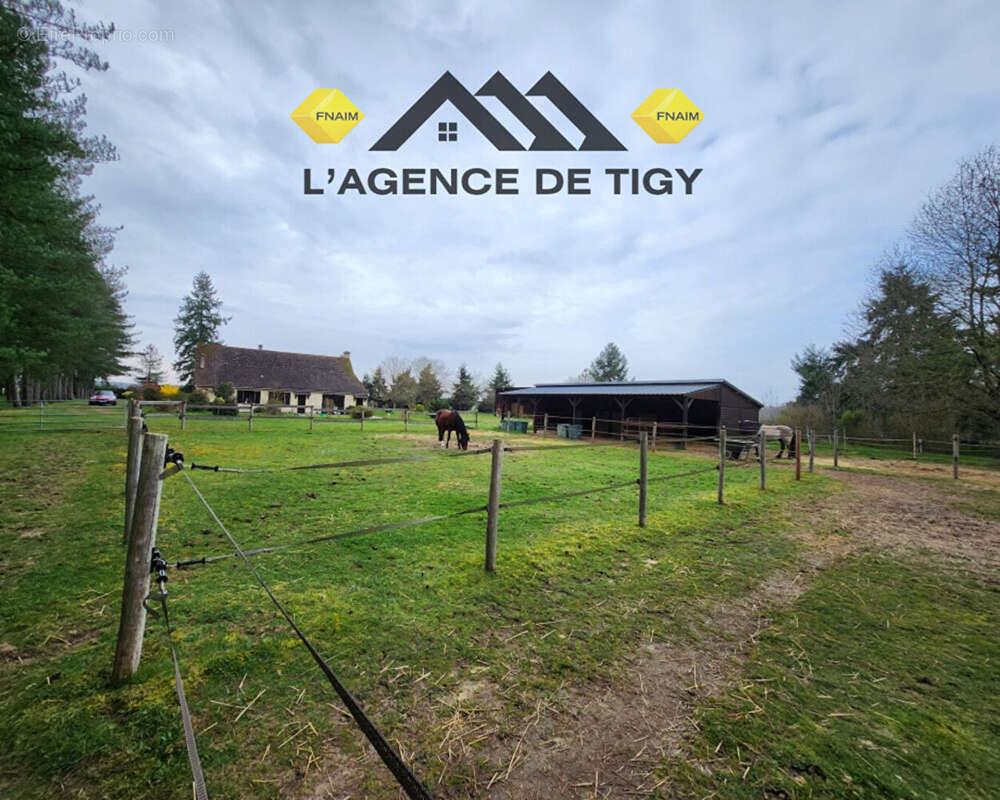 Maison à NEUVY-EN-SULLIAS