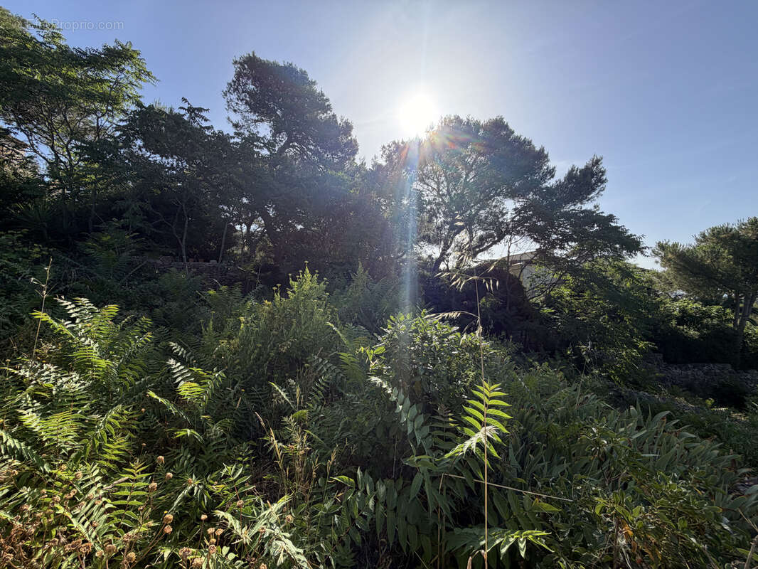 Terrain à SETE