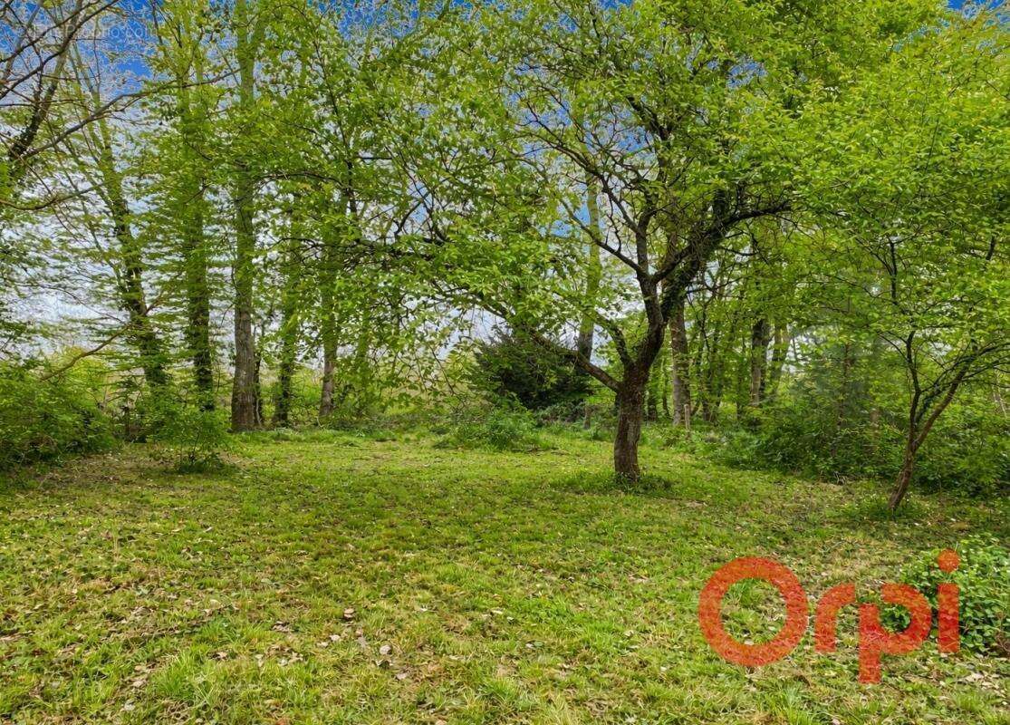 Maison à LA GUERCHE-SUR-L'AUBOIS