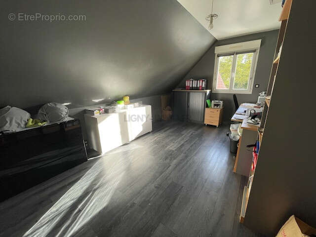 Nouveaute petit-caux - photo 14