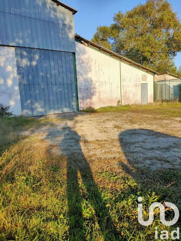 Photo 2 - Appartement à BREVILLE