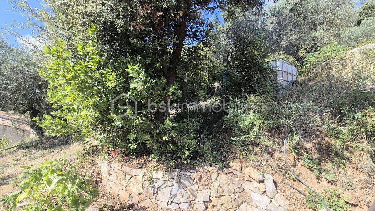 Maison à BELGENTIER