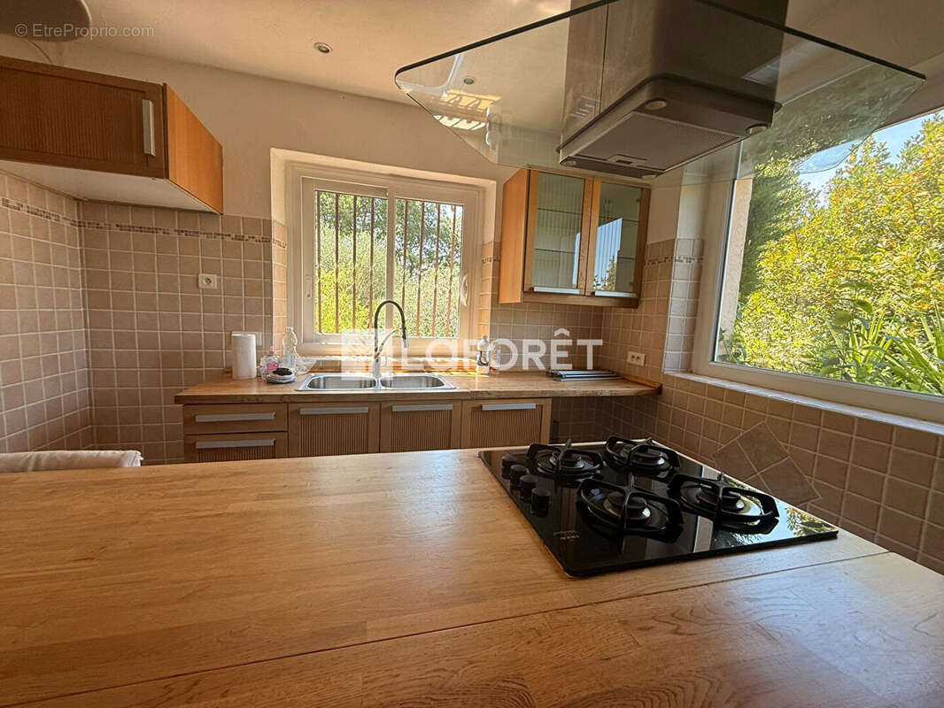 Maison Saint-Cézaire-sur-Siagne 5 pièce(s) 142 m² sur un terrain planté de 22 oliviers - photo 7