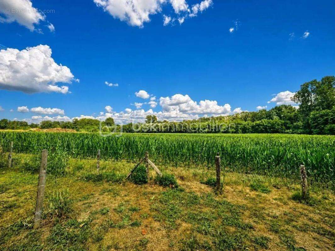 EXCLUSIVITÉ – Ancien corps de ferme sur 5,6 hectares avec dépendances, verger et rivière - photo 20