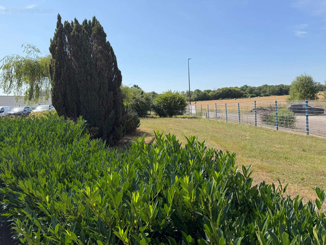 Vente ensemble immobilier industriel de 3 660 m2, sur terrain de 21 181 m2 LURE - photo 6