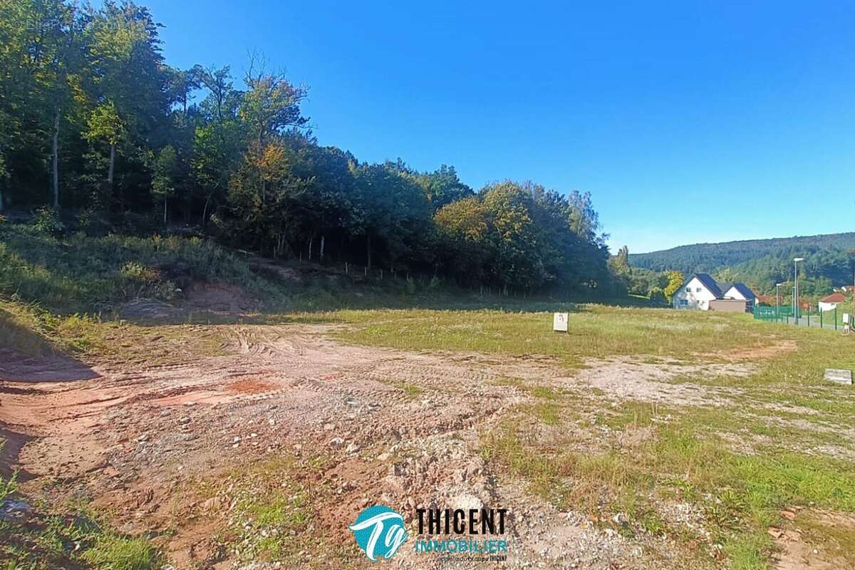 Terrain 5243 m² à Ingwiller  - photo 4