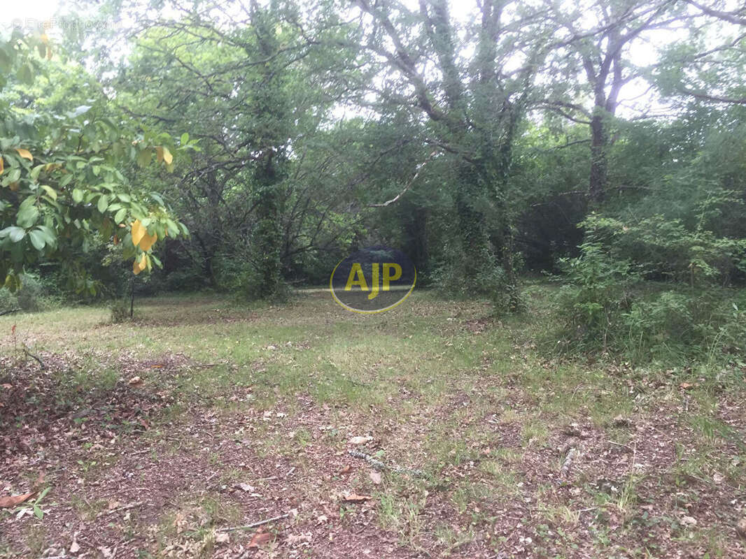 Terrain constructible, SAINT-VIVIEN-DE-MEDOC - photo 5