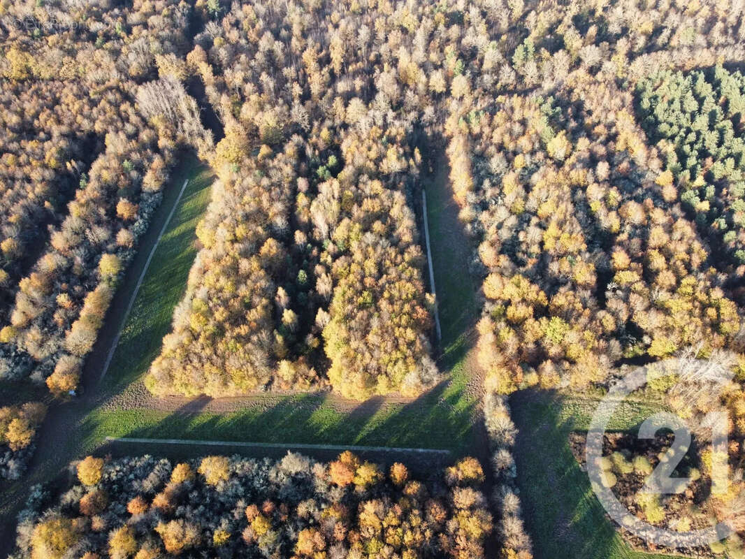 Maison à MENESTREAU-EN-VILLETTE
