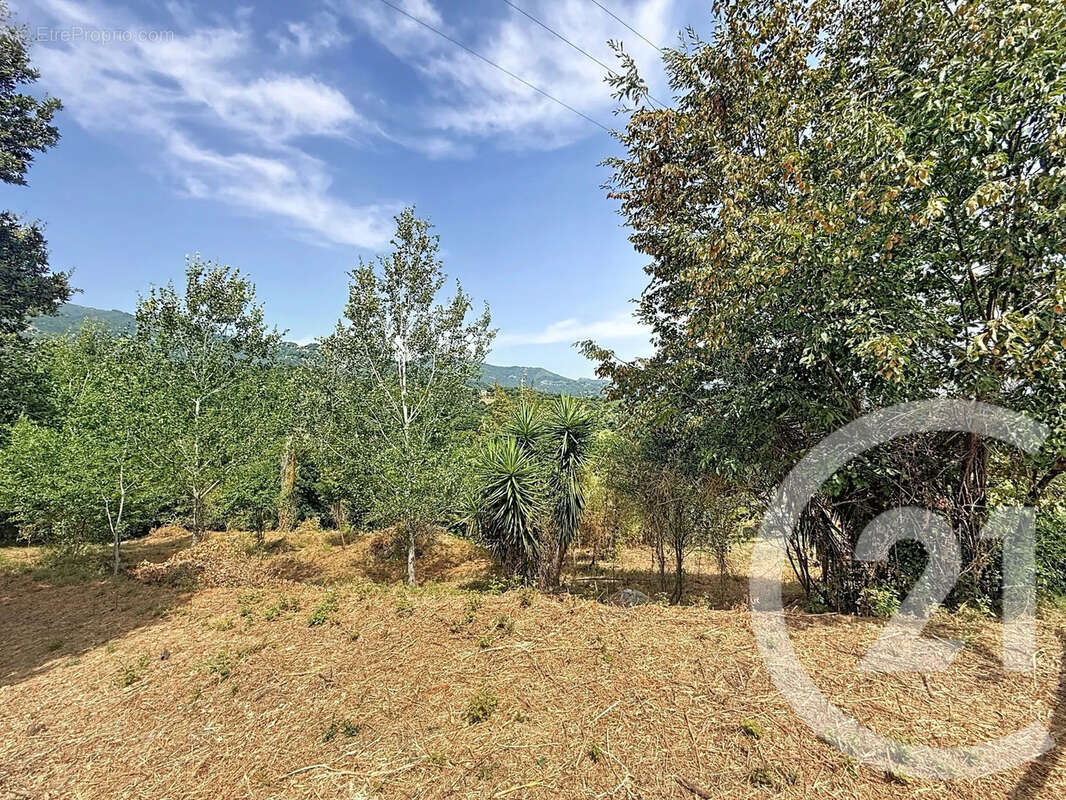 Terrain 2000 m² à San-Nicolao  - photo 3