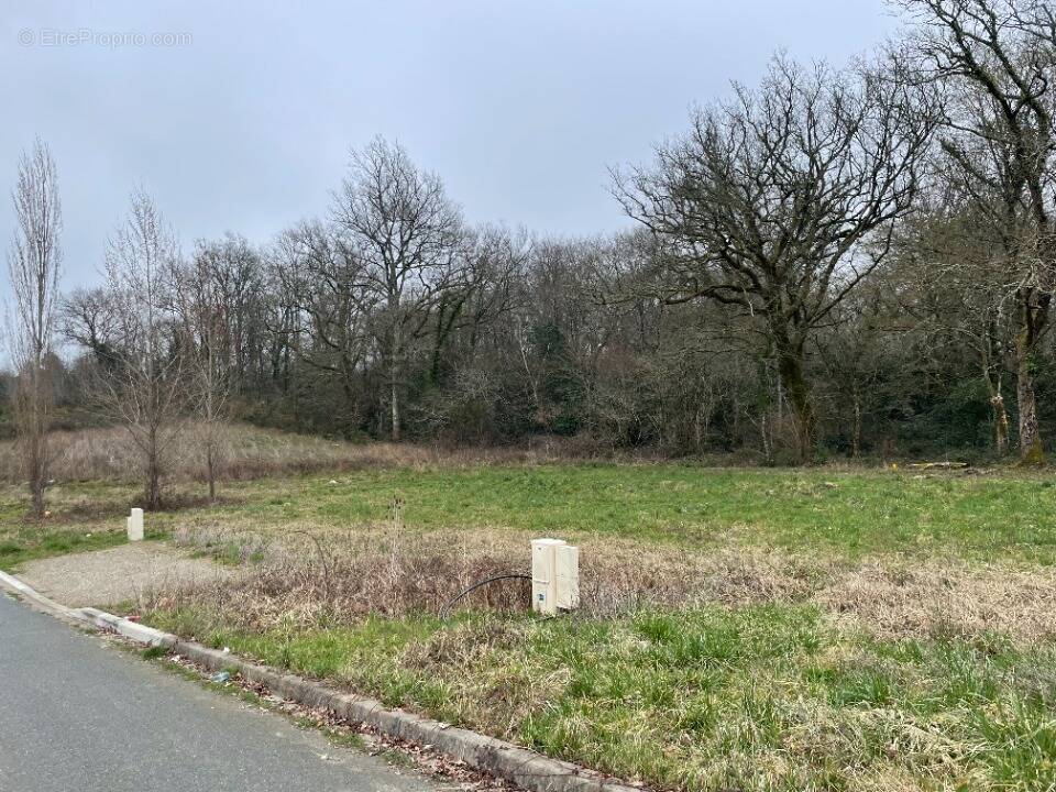 Terrain à SAINT-MEDARD-EN-JALLES
