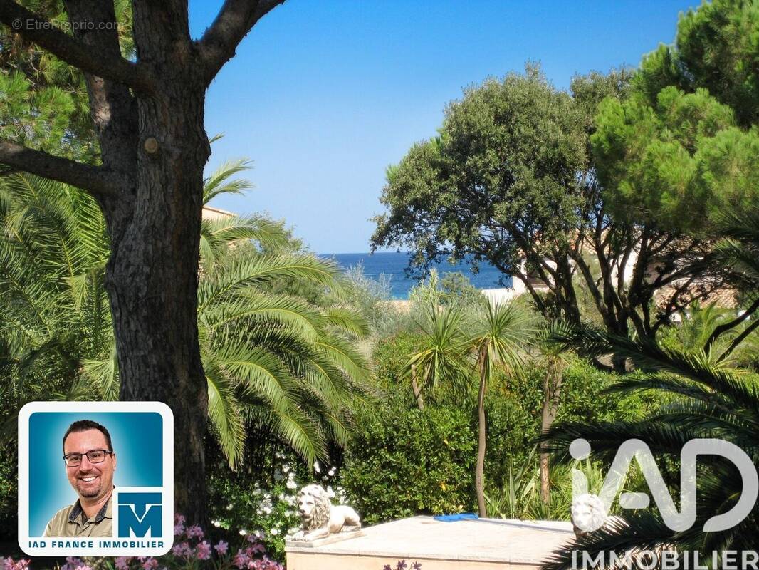Photo 1 - Maison à RAMATUELLE