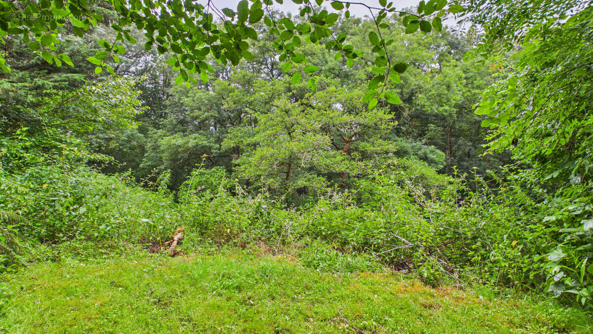 Terrain constructible de 2 244 m² avec forêt de 2 hectares - photo 11