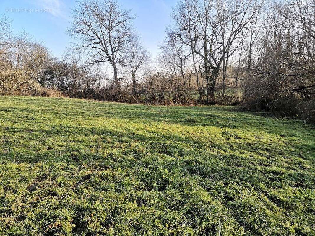Propriété à vendre proche de Marciac: Maison 4 chambres, à finir de rénover. Cachée et isolée, on y accède par un long chemin. T - photo 3