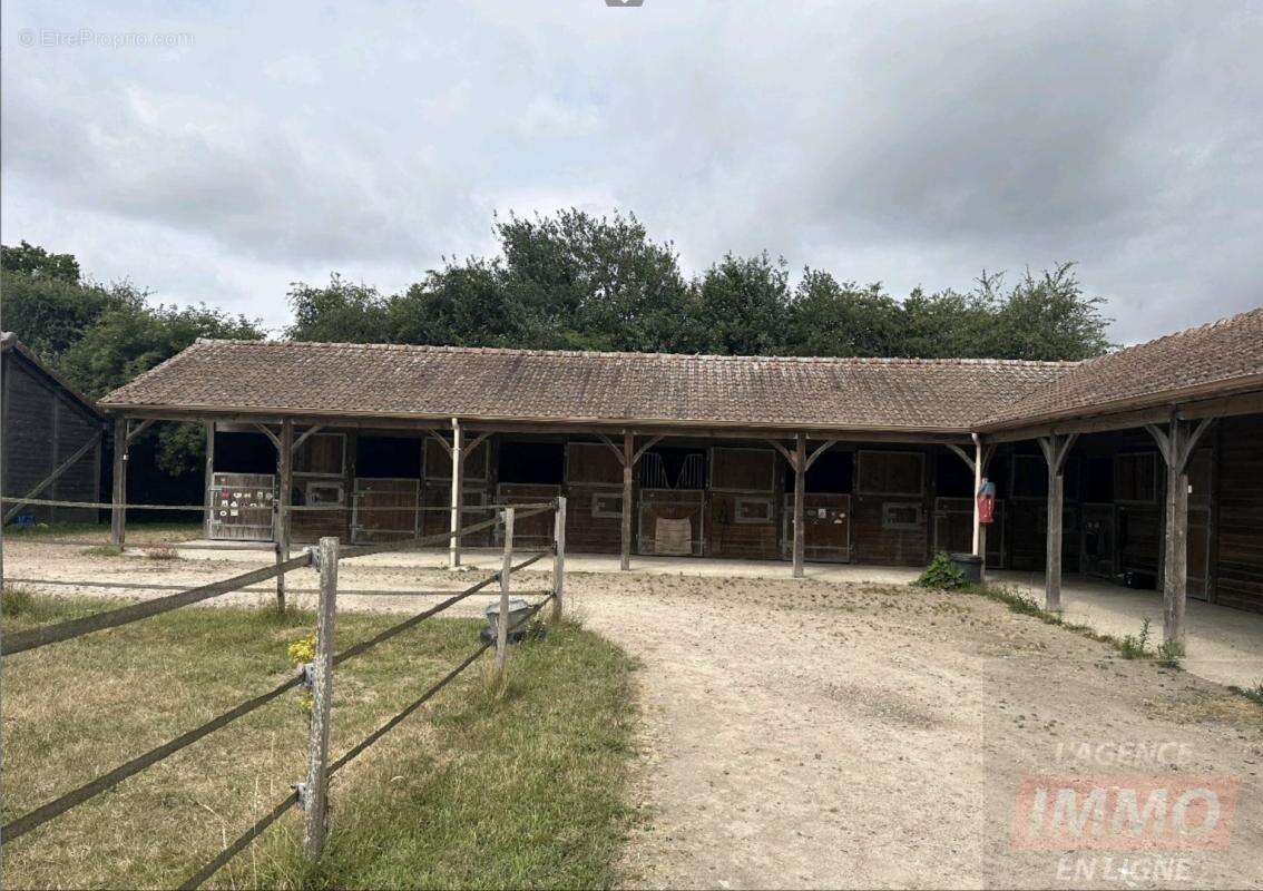 Haras / Equestre - photo 3