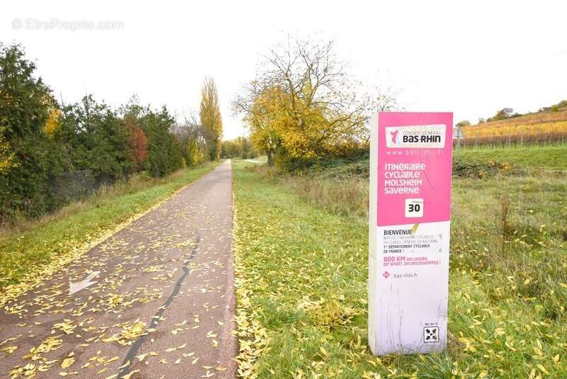 Terrain à ODRATZHEIM