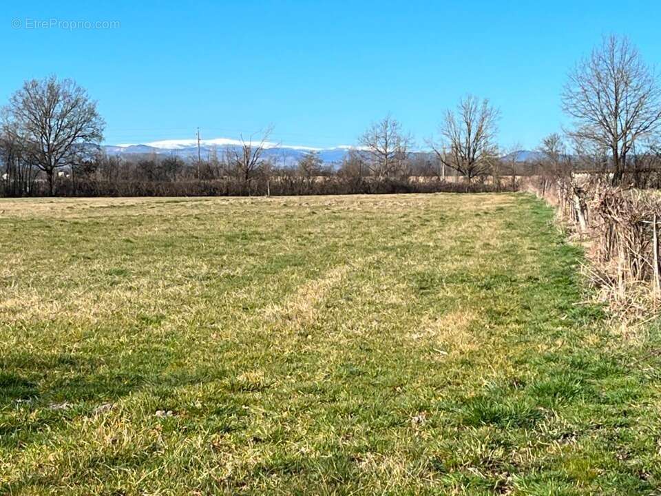 Terrain 501 m² à Bois-L'eveque  - photo 2