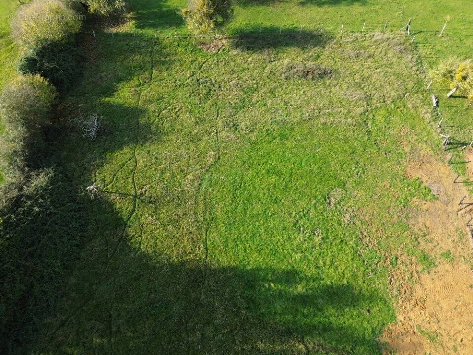 Terrain à SAINT-MARTIN-DE-LA-LIEUE