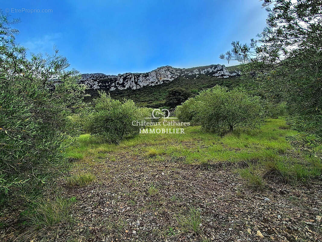 Terrain 51314 m² à Saint-Paul-De-Fenouillet  - photo 6