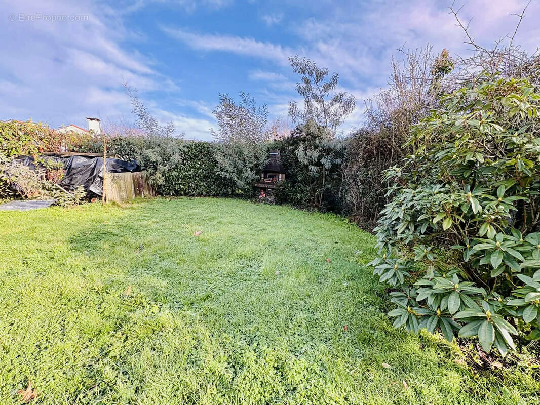 Maison à VIEILLEVIGNE