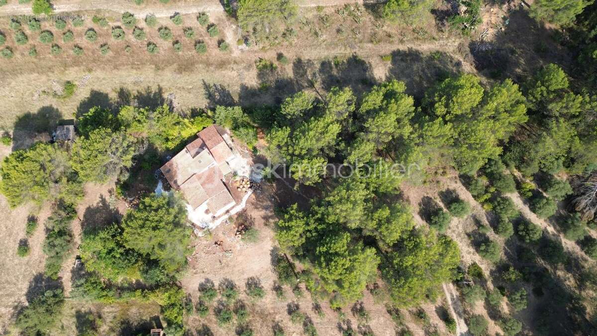 Maison de caractère à rénover – 4 800 m² de terrain – Un cadre naturel exceptionnel à Ventabren - photo 3