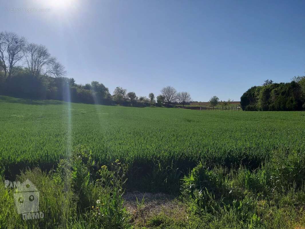 Terrain à GEZONCOURT