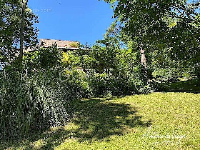 Appartement à CAZAUBON