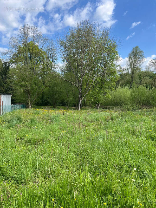 Terrain à SAINT-ETIENNE-ROILAYE