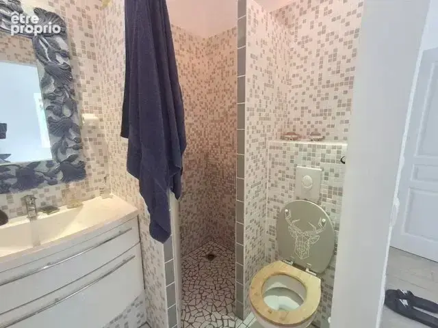 Grande batisse proche banne - photo 21