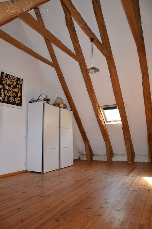 Belle maison composée de 2 gîtes dans un magnifique environnement proche Sancy - photo 27