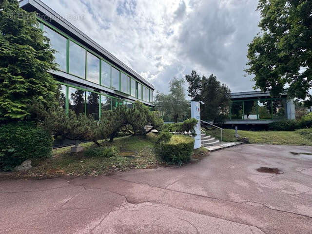 Commerce à LA CELLE-SAINT-CLOUD