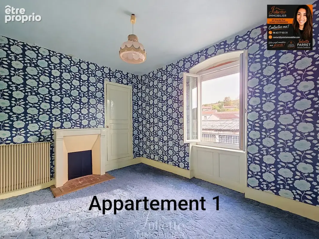 Maison composee de 2 appartements avec dependances - photo 10