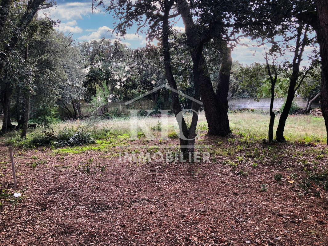 Terrain à CARCASSONNE